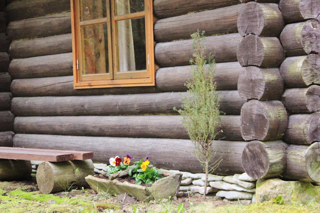 Hotel Kuuli Puhkemajad Tagaranna Pokoj fotografie